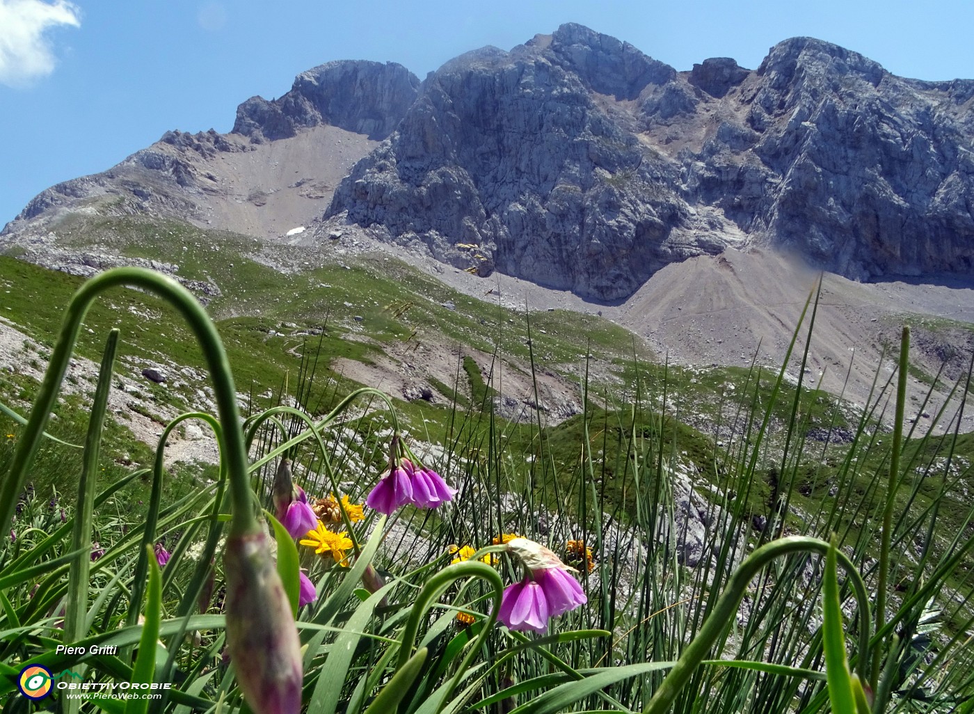 48  Sul sent.  218 per la Bocchetta di Corna Piana con Allium insubricum e vista in Arera .JPG